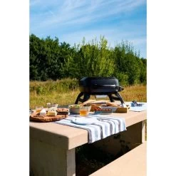 Napoleon Gasgrill TRAVELQ 240 -Grillmeister Deutschland Verkaufs-Shop Napoleon Gasgrill TRAVELQ 240@@1872821 12