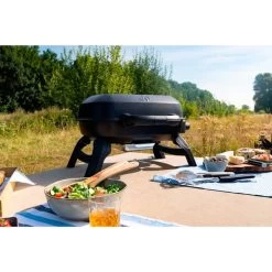 Napoleon Gasgrill TRAVELQ 240 -Grillmeister Deutschland Verkaufs-Shop Napoleon Gasgrill TRAVELQ 240@@1872821 13
