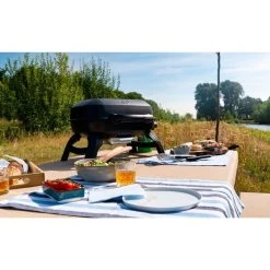 Napoleon Gasgrill TRAVELQ 240 -Grillmeister Deutschland Verkaufs-Shop Napoleon Gasgrill TRAVELQ 240@@1872821 14