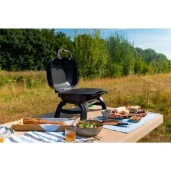 Napoleon Gasgrill TRAVELQ 240 -Grillmeister Deutschland Verkaufs-Shop Napoleon Gasgrill TRAVELQ 240@@1872821 16