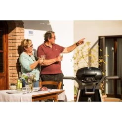 Napoleon Gasgrill TravelQ PRO285 -Grillmeister Deutschland Verkaufs-Shop Napoleon Gasgrill TravelQ PRO285@@9ggfen0o 10