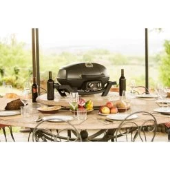 Napoleon Gasgrill TravelQ PRO285 -Grillmeister Deutschland Verkaufs-Shop Napoleon Gasgrill TravelQ PRO285@@9ggfen0o 11