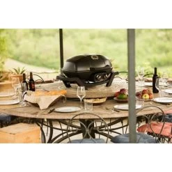Napoleon Gasgrill TravelQ PRO285 -Grillmeister Deutschland Verkaufs-Shop Napoleon Gasgrill TravelQ PRO285@@9ggfen0o 12