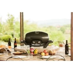 Napoleon Gasgrill TravelQ PRO285 -Grillmeister Deutschland Verkaufs-Shop Napoleon Gasgrill TravelQ PRO285@@9ggfen0o 13