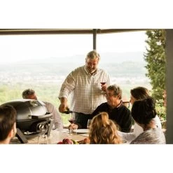 Napoleon Gasgrill TravelQ PRO285 -Grillmeister Deutschland Verkaufs-Shop Napoleon Gasgrill TravelQ PRO285@@9ggfen0o 14