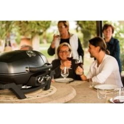 Napoleon Gasgrill TravelQ PRO285 -Grillmeister Deutschland Verkaufs-Shop Napoleon Gasgrill TravelQ PRO285@@9ggfen0o 15