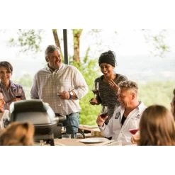 Napoleon Gasgrill TravelQ PRO285 -Grillmeister Deutschland Verkaufs-Shop Napoleon Gasgrill TravelQ PRO285@@9ggfen0o 16