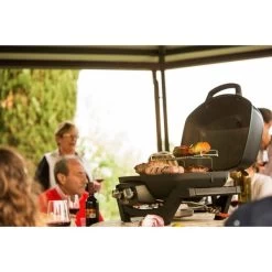 Napoleon Gasgrill TravelQ PRO285 -Grillmeister Deutschland Verkaufs-Shop Napoleon Gasgrill TravelQ PRO285@@9ggfen0o 17