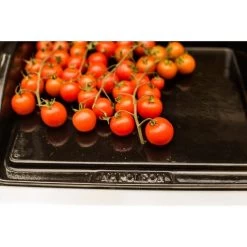 Napoleon Gusseisen-Plancha, Grillplatte -Grillmeister Deutschland Verkaufs-Shop Napoleon Gusseisen Plancha Grillplatte@@9ggzzn0s 7