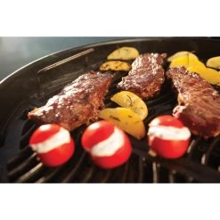 Napoleon Holzkohlegrill Charcoal Kettle N22K -Grillmeister Deutschland Verkaufs-Shop Napoleon Holzkohlegrill Charcoal Kettle N22K@@9ggffn03 11