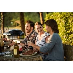 Napoleon Holzkohlegrill PRO22K, Im Rollwagen 39 Napoleon Holzkohlegrill PRO22K, Im Rollwagen -Grillmeister Deutschland Verkaufs-Shop Napoleon Holzkohlegrill PRO22K im Rollwagen@@9ggffn01 19