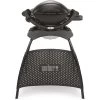 Weber Gasgrill Q 1000 Stand Black