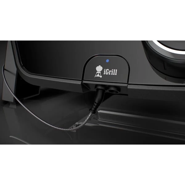 Weber Kontrolleinheit Für Pulse 1000, Ersatzteil 2 Weber Kontrolleinheit Für Pulse 1000, Ersatzteil – Bild 2