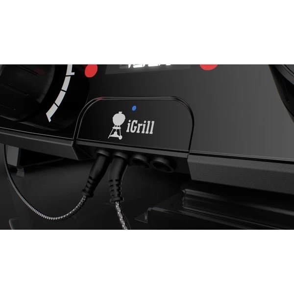 Weber Kontrolleinheit Für Pulse 2000, Ersatzteil 2 Weber Kontrolleinheit Für Pulse 2000, Ersatzteil – Bild 2