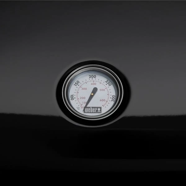 Weber Lumin Elektrogrill 5 Weber Lumin Elektrogrill – Bild 5