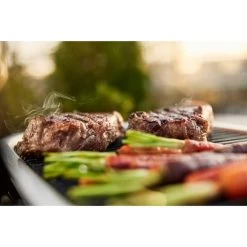 Weber Lumin Elektrogrill 22 Weber Lumin Elektrogrill -Grillmeister Deutschland Verkaufs-Shop Weber Lumin Elektrogrill@@1875480 10